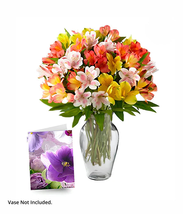 50 Blooms of Alstroemeria bouquet with vase and card.