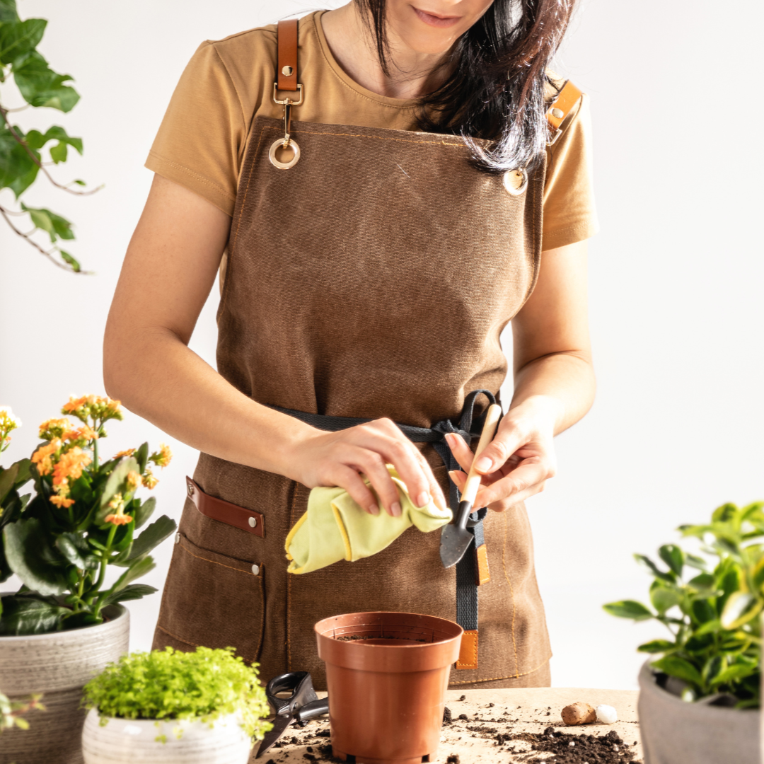 Build Your Own Succulent Workshop | September 20