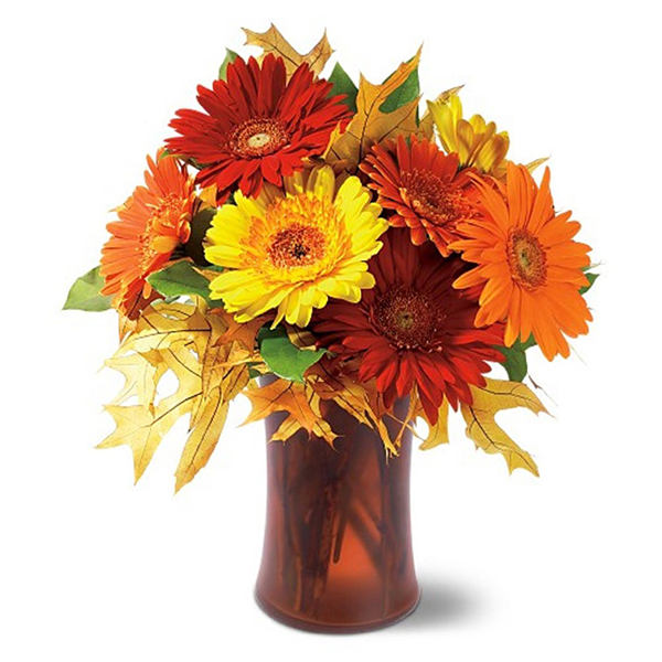 Autumn Gerberas