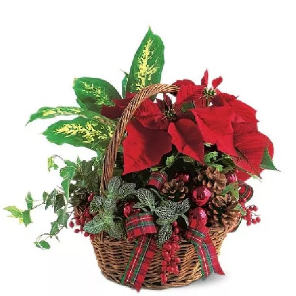 christmas planter basket