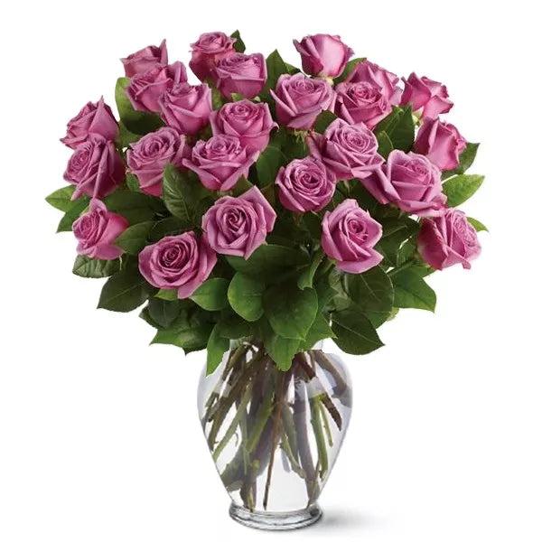 Two Dozen Long Stemmed Lavender Roses
