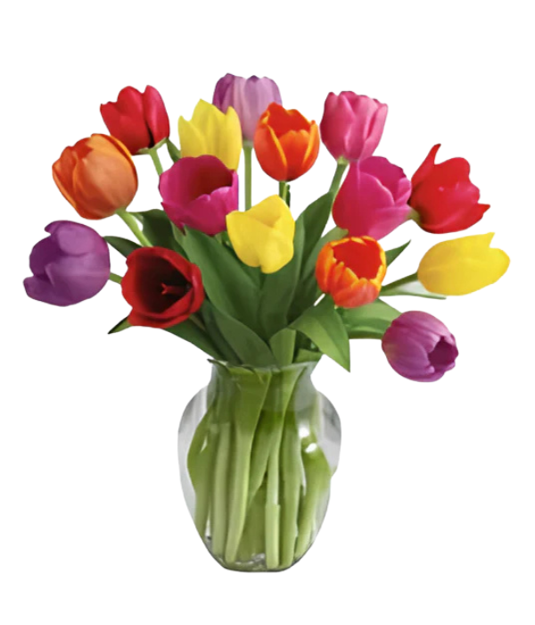 15 Spring Tulips in a Vase